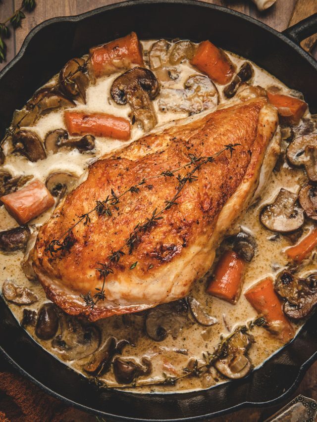 Turkey Recipes for Dinner